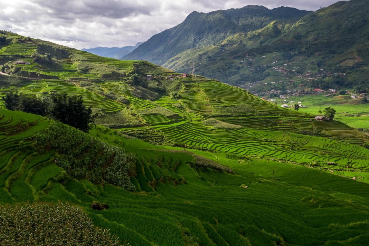 Laxsik Ecolodge Sapa Eksteriør billede